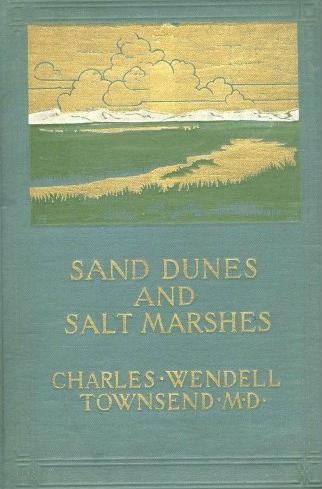 Sand Dunes and Salt Marshes blue variant